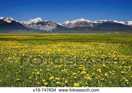Sawtooth Mountains, Idaho, USA View Large Photo Image Picture - Sawtooth Mountains, Idaho, USA. Fotosearch