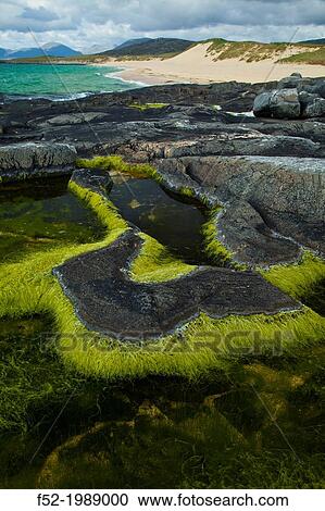 Stock Image - Scarista Beach. Sound of Taransay. South Harris Island. Outer Hebrides. Scotland, UK.. Fotosearch