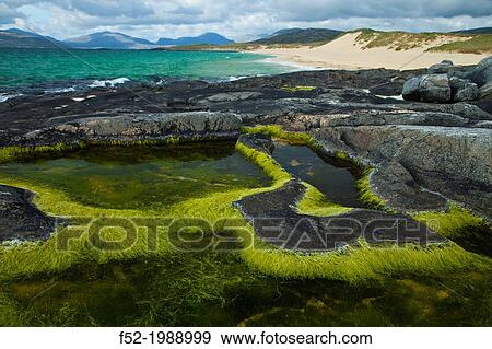 Stock Photo - Scarista Beach. Sound of Taransay. South Harris Island. Outer Hebrides. Scotland, UK.. Fotosearch