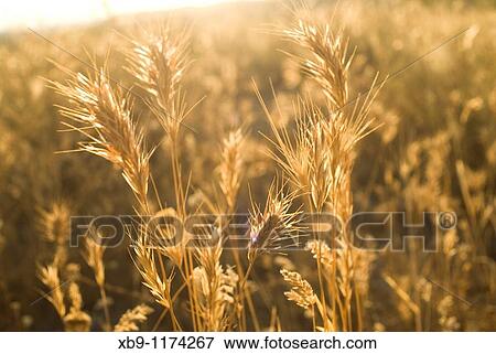 Stock Photo - Scenes from El Margen, Granada, Spain. Fotosearch