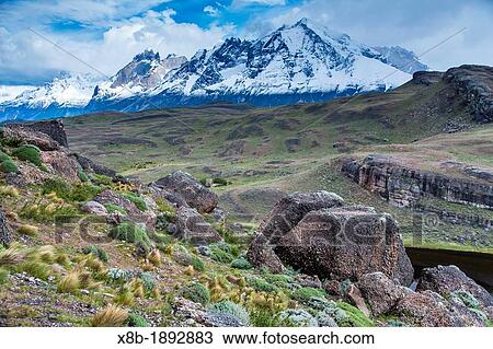 Scenes from Torres del Paine National Park, Patagonia, Chile View Large Photo Image Stock Image - Scenes from Torres del Paine National Park, Patagonia, Chile. Fotosearch