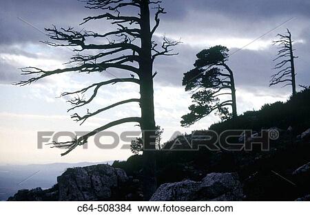 Scenics View Large Photo Image Picture - Scenics. Fotosearch