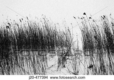 Scenics View Large Photo Image Picture - Scenics. Fotosearch