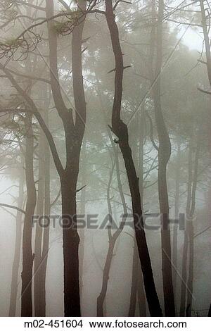 Scenics View Large Photo Image Picture - Scenics. Fotosearch