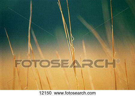 Scenics View Large Photo Image Stock Image - Scenics. Fotosearch