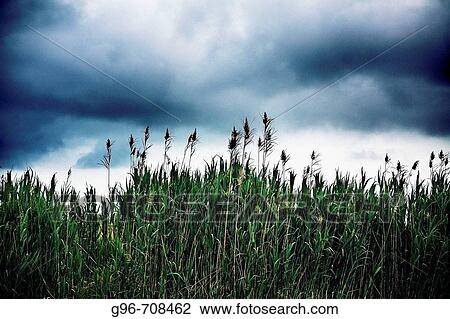 Scenics View Large Photo Image Stock Image - Scenics. Fotosearch