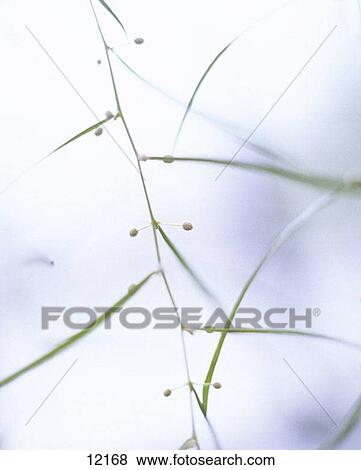 Scenics View Large Photo Image Stock Photo - Scenics. Fotosearch
