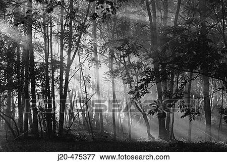 Scenics View Large Photo Image Stock Photo - Scenics. Fotosearch