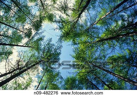 Scenics View Large Photo Image Stock Photograph - Scenics. Fotosearch
