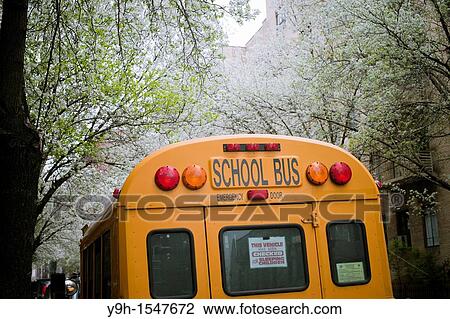 School bus checked for sleeping children parked in the New York neighborhood of Chelsea amongst blooming callery pear trees View Large Photo Image Stock Image - School bus checked for sleeping children parked in the New York neighborhood of Chelsea amongst blooming callery pear trees. Fotosearch