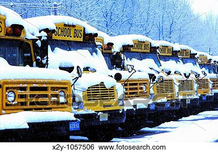 School buses View Large Photo Image Stock Photograph - School buses. Fotosearch