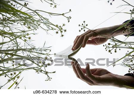 School & Education View Large Photo Image Stock Photo - School & Education. Fotosearch
