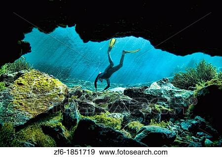 School teachers snorkeling with the Manatees at Crystal River Florida View Large Photo Image Stock Photo - School teachers snorkeling with the Manatees at Crystal River Florida. Fotosearch