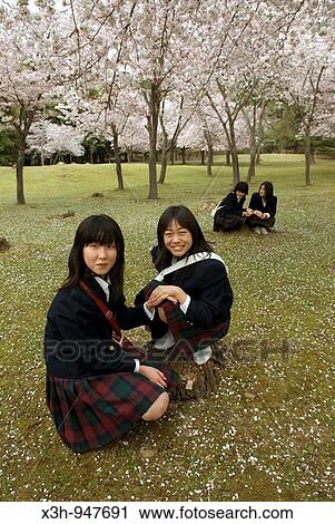 schoolgirls under cherry blossoms, Sous les cerisiers en fleurs, Nara, Japon View Large Photo Image Stock Image - schoolgirls under cherry blossoms, Sous les cerisiers en fleurs, Nara, Japon. Fotosearch