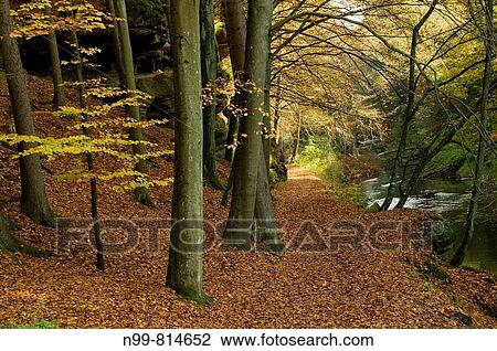Schwarzach valley, near Nuremberg, beech forest, sandstone rocks, colours of autumn, Bavaria, Germany View Large Photo Image Stock Image - Schwarzach valley, near Nuremberg, beech forest, sandstone rocks, colours of autumn, Bavaria, Germany. Fotosearch