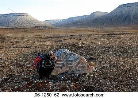 Stock Image - Scientist taking picture of lichen in Dundas Harbour Devon Island, Nunavut, Canada. Fotosearch