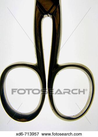 Scissors View Large Photo Image Stock Photo - Scissors. Fotosearch
