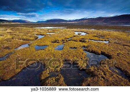 Scotland, Scottish Highlands, Glen Carron Looking towards Glen Carron from the banks of Loch Carron, a sea loch shown here at low tide View Large Photo Image Stock Photo - Scotland, Scottish Highlands, Glen Carron Looking towards Glen Carron from the banks of Loch Carron, a sea loch shown here at low tide. Fotosearch