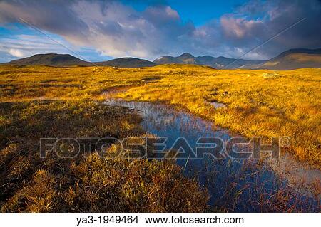 Scotland, Scottish Highlands, Rannoch Moor. Early morning sun on Rannoch Moor with the dominating peak of the Black Mount in the distance. View Large Photo Image Picture - Scotland, Scottish Highlands, Rannoch Moor. Early morning sun on Rannoch Moor with the dominating peak of the Black Mount in the distance.. Fotosearch