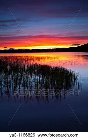 Scotland, Scottish Highlands, Cairngorms National Park Summer sunset over Loch Morlich near Aviemore View Large Photo Image Stock Photograph - Scotland, Scottish Highlands, Cairngorms National Park Summer sunset over Loch Morlich near Aviemore. Fotosearch