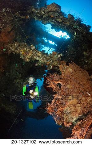 Scuba Diver at Liberty Wreck, Tulamben, Bali, Indonesia View Large Photo Image Stock Image - Scuba Diver at Liberty Wreck, Tulamben, Bali, Indonesia. Fotosearch