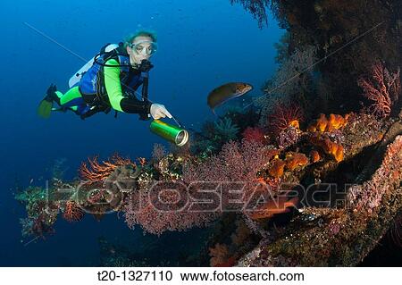Scuba Diver at Liberty Wreck, Tulamben, Bali, Indonesia View Large Photo Image Stock Image - Scuba Diver at Liberty Wreck, Tulamben, Bali, Indonesia. Fotosearch