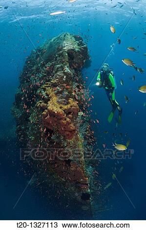 Stock Image - Scuba Diver at Liberty Wreck, Tulamben, Bali, Indonesia. Fotosearch