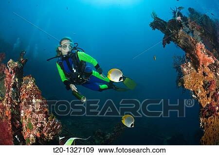 Scuba Diver at Liberty Wreck, Tulamben, Bali, Indonesia View Large Photo Image Stock Photo - Scuba Diver at Liberty Wreck, Tulamben, Bali, Indonesia. Fotosearch