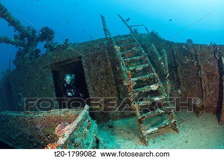 Scuba Diver at Maldive Victory Wreck, North Male Atoll, Indian Ocean, Maldives View Large Photo Image Stock Image - Scuba Diver at Maldive Victory Wreck, North Male Atoll, Indian Ocean, Maldives. Fotosearch