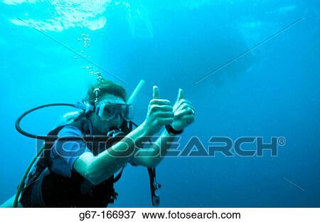Scuba diver. Great Barrier Reef. Australia View Large Photo Image Stock Photo - Scuba diver. Great Barrier Reef. Australia. Fotosearch
