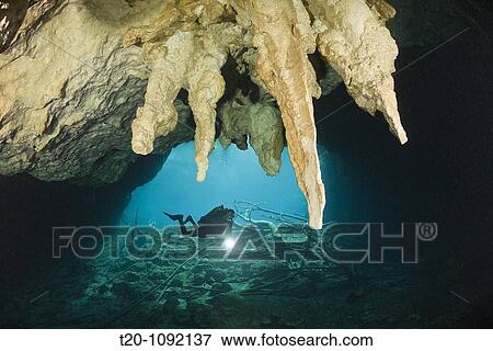 Scuba Diver in Car Wash Cenote Aktun Ha, Tulum, Yucatan Peninsula, Mexico View Large Photo Image Stock Photo - Scuba Diver in Car Wash Cenote Aktun Ha, Tulum, Yucatan Peninsula, Mexico. Fotosearch