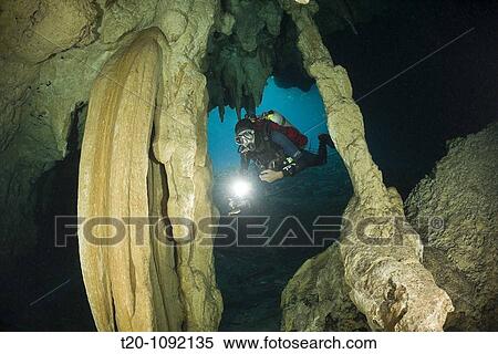 Scuba Diver in Car Wash Cenote Aktun Ha, Tulum, Yucatan Peninsula, Mexico View Large Photo Image Stock Photography - Scuba Diver in Car Wash Cenote Aktun Ha, Tulum, Yucatan Peninsula, Mexico. Fotosearch