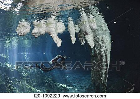 Scuba Diver in Gran Cenote, Tulum, Yucatan Peninsula, Mexico View Large Photo Image Stock Photo - Scuba Diver in Gran Cenote, Tulum, Yucatan Peninsula, Mexico. Fotosearch