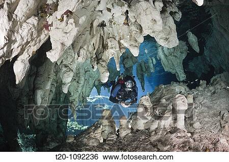 Scuba Diver in Gran Cenote, Tulum, Yucatan Peninsula, Mexico View Large Photo Image Stock Photograph - Scuba Diver in Gran Cenote, Tulum, Yucatan Peninsula, Mexico. Fotosearch