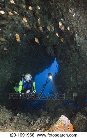 Scuba Diver in Grotto, Raja Ampat, West Papua, Indonesia View Large Photo Image Stock Photo - Scuba Diver in Grotto, Raja Ampat, West Papua, Indonesia. Fotosearch