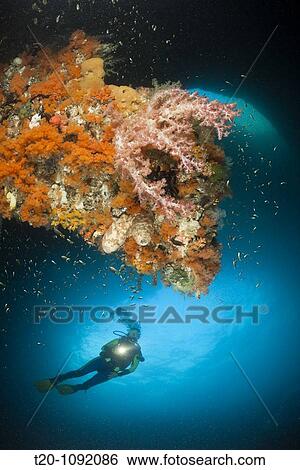 Scuba Diver in Grotto, Raja Ampat, West Papua, Indonesia View Large Photo Image Stock Photograph - Scuba Diver in Grotto, Raja Ampat, West Papua, Indonesia. Fotosearch