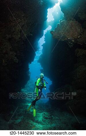 Scuba Diver in Underwater Cave, Namena Marine Reserve, Fiji View Large Photo Image Stock Image - Scuba Diver in Underwater Cave, Namena Marine Reserve, Fiji. Fotosearch