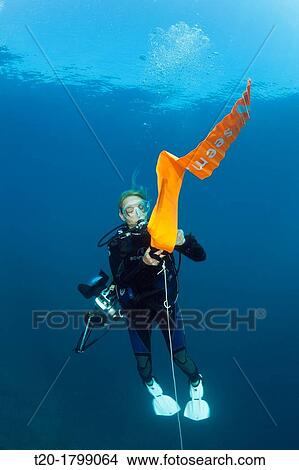Picture - Scuba Diver inflates her Surface Marker Buoy, Baa Atoll, Indian Ocean, Maldives. Fotosearch