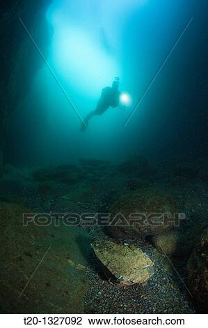 Scuba Diver inside Cave, Cap de Creus, Costa Brava, Spain View Large Photo Image Stock Image - Scuba Diver inside Cave, Cap de Creus, Costa Brava, Spain. Fotosearch
