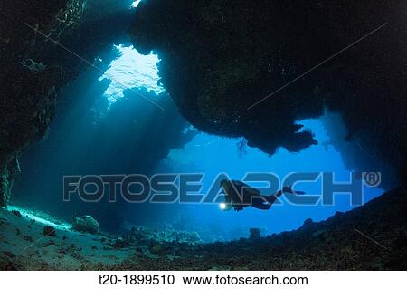 Scuba Diver inside Cave, Cave Reef, Red Sea, Egypt View Large Photo Image Stock Image - Scuba Diver inside Cave, Cave Reef, Red Sea, Egypt. Fotosearch