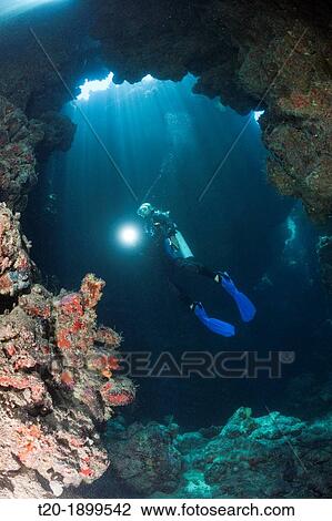 Scuba Diver inside Cave, Zabargad, Red Sea, Egypt View Large Photo Image Stock Image - Scuba Diver inside Cave, Zabargad, Red Sea, Egypt. Fotosearch