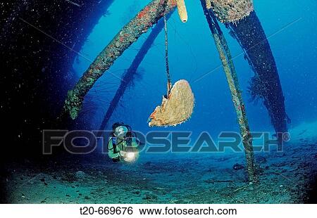 Scuba diver on the Hilma Hooker Ship Wreck, Netherlands Antilles, Bonaire, Caribbean Sea View Large Photo Image Stock Photograph - Scuba diver on the Hilma Hooker Ship Wreck, Netherlands Antilles, Bonaire, Caribbean Sea. Fotosearch
