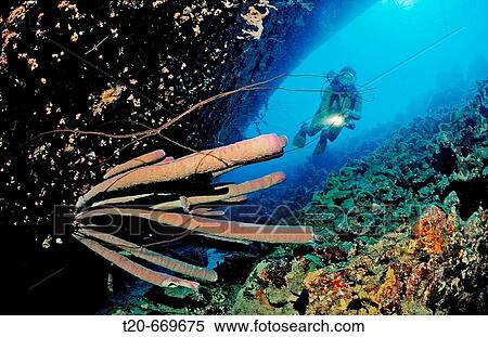 Scuba diver on the Hilma Hooker Ship Wreck, Netherlands Antilles, Bonaire, Caribbean Sea View Large Photo Image Stock Photography - Scuba diver on the Hilma Hooker Ship Wreck, Netherlands Antilles, Bonaire, Caribbean Sea. Fotosearch