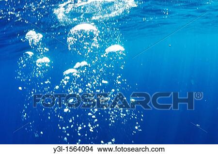 Scuba Diver's bubbles rising-up to surface, Underwater view, Mediterranean sea, Marseille, France View Large Photo Image Picture - Scuba Diver's bubbles rising-up to surface, Underwater view, Mediterranean sea, Marseille, France. Fotosearch