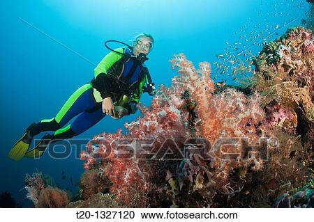 Stock Image - Scuba Diving at Bali, Alam Batu, Bali, Indonesia. Fotosearch