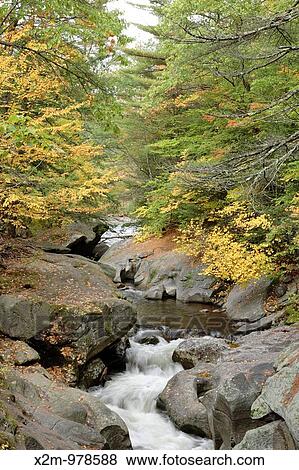 Sculptured Rocks Natural Area during the autumn months Located in Groton, New Hampshire USA, which is part of New England Notes This rocky gorge was shaped during the Great Ice Age View Large Photo Image Stock Photo - Sculptured Rocks Natural Area during the autumn months Located in Groton, New Hampshire USA, which is part of New England Notes This rocky gorge was shaped during the Great Ice Age. Fotosearch