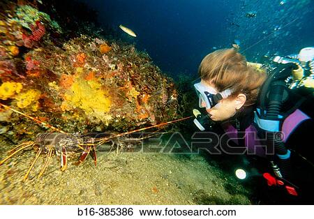 Sea floor with diver, Mediterranean Sea View Large Photo Image Stock Photograph - Sea floor with diver, Mediterranean Sea. Fotosearch