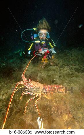 Stock Photography - Sea floor with diver, Mediterranean Sea. Fotosearch