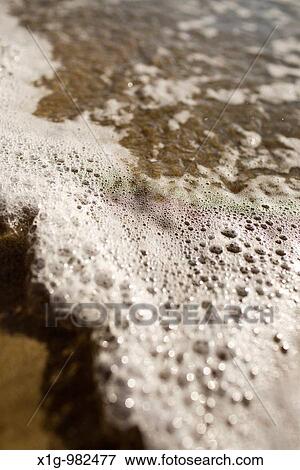 Sea foam washing onto the shore of Playa Grande in Costa Rica View Large Photo Image Stock Photo - Sea foam washing onto the shore of Playa Grande in Costa Rica. Fotosearch