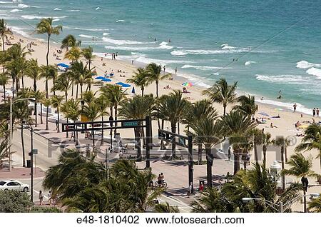 SEABREEZE BOULEVARD BEACH FORT LAUDERDALE SKYLINE FLORIDA USA View Large Photo Image Stock Image - SEABREEZE BOULEVARD BEACH FORT LAUDERDALE SKYLINE FLORIDA USA. Fotosearch